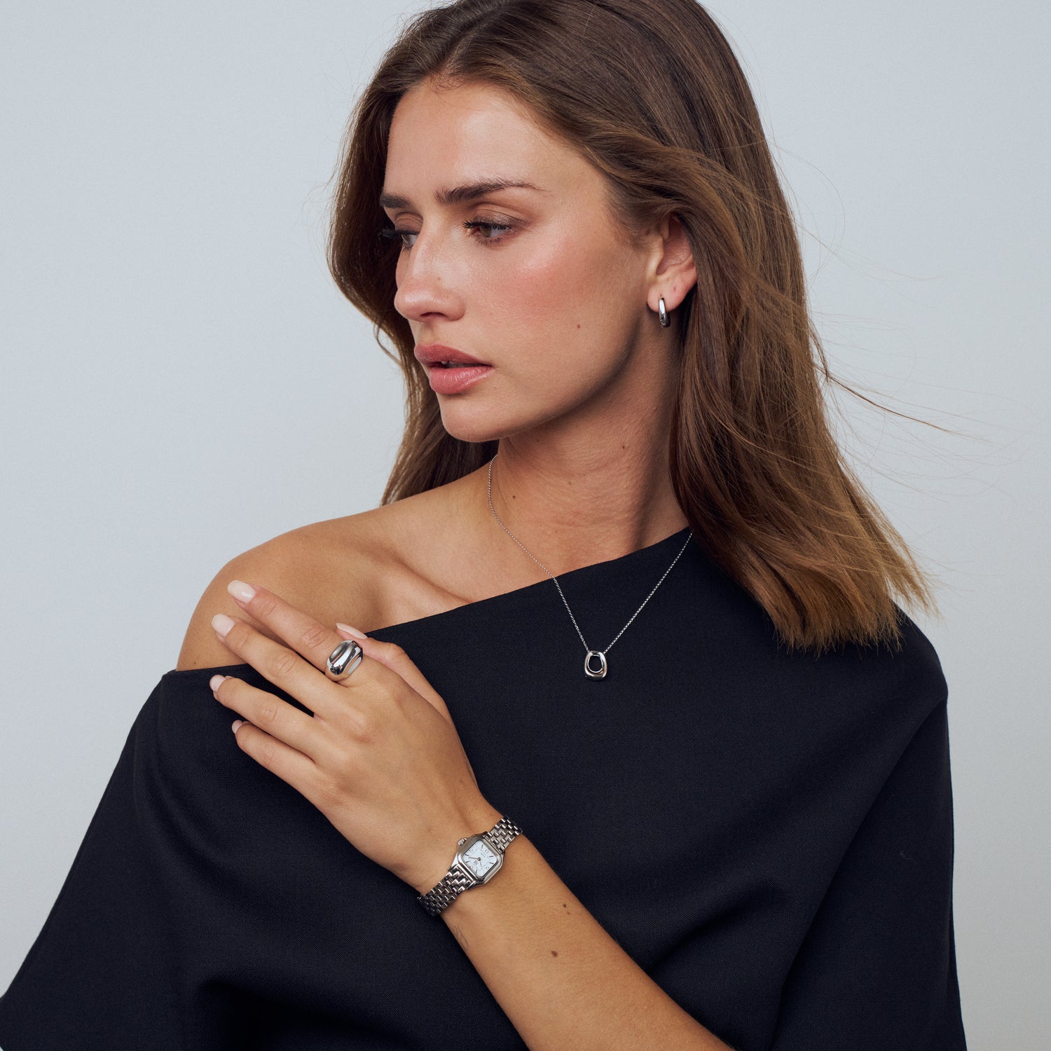 Stainless steel Silver